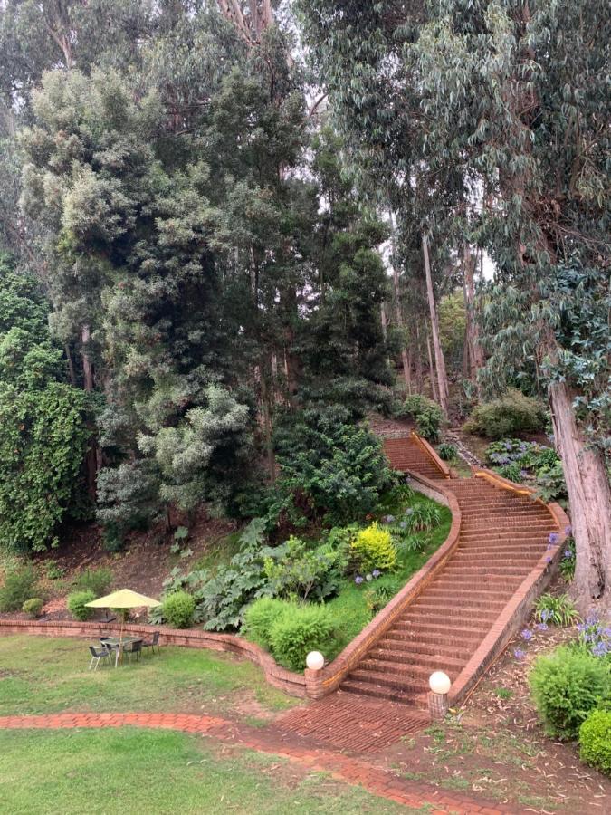 Hotel Bosque De Renaca Βίνα Ντελ Μαρ Εξωτερικό φωτογραφία