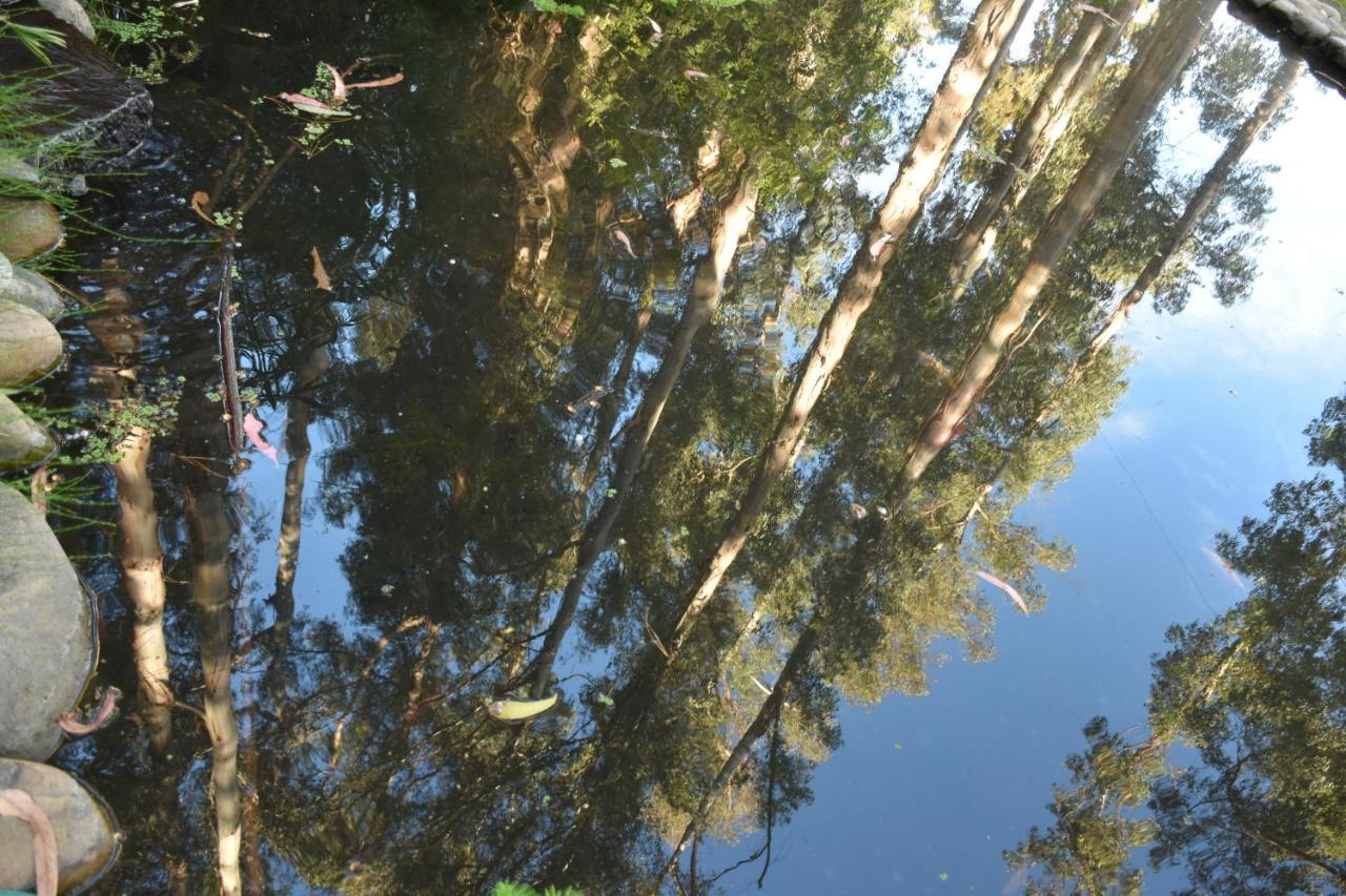 Hotel Bosque De Renaca Βίνα Ντελ Μαρ Εξωτερικό φωτογραφία