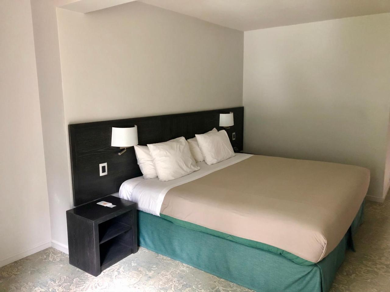 Hotel Bosque De Renaca Βίνα Ντελ Μαρ Εξωτερικό φωτογραφία