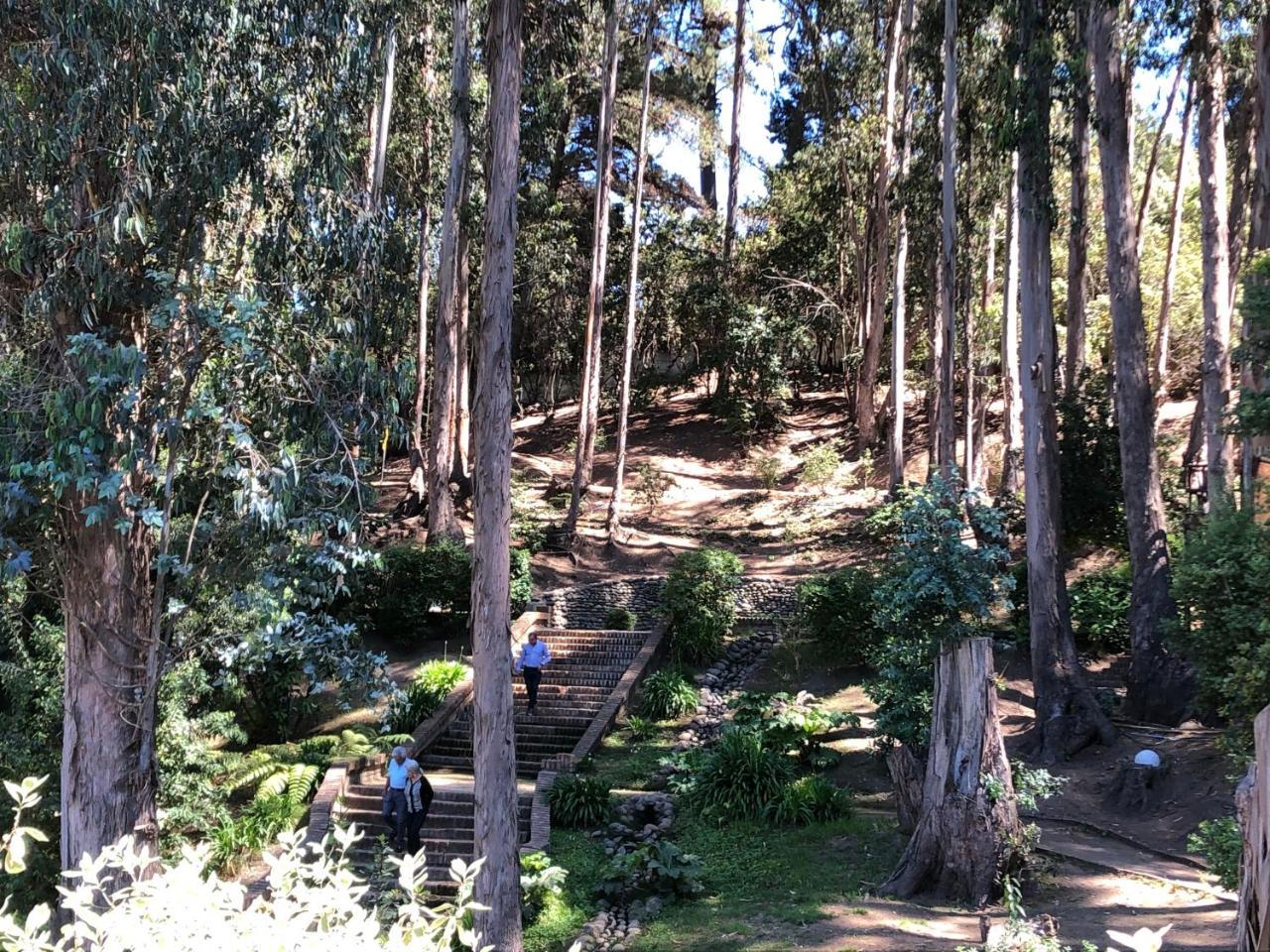 Hotel Bosque De Renaca Βίνα Ντελ Μαρ Εξωτερικό φωτογραφία