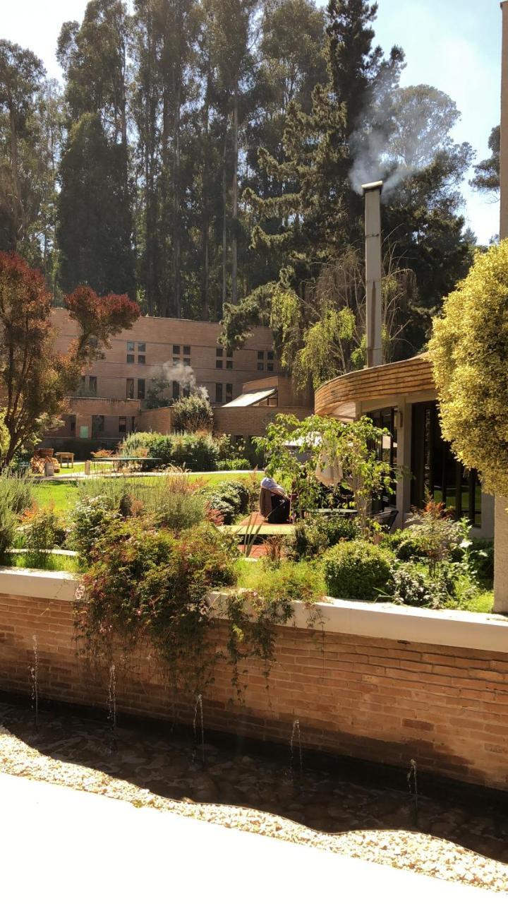 Hotel Bosque De Renaca Βίνα Ντελ Μαρ Εξωτερικό φωτογραφία