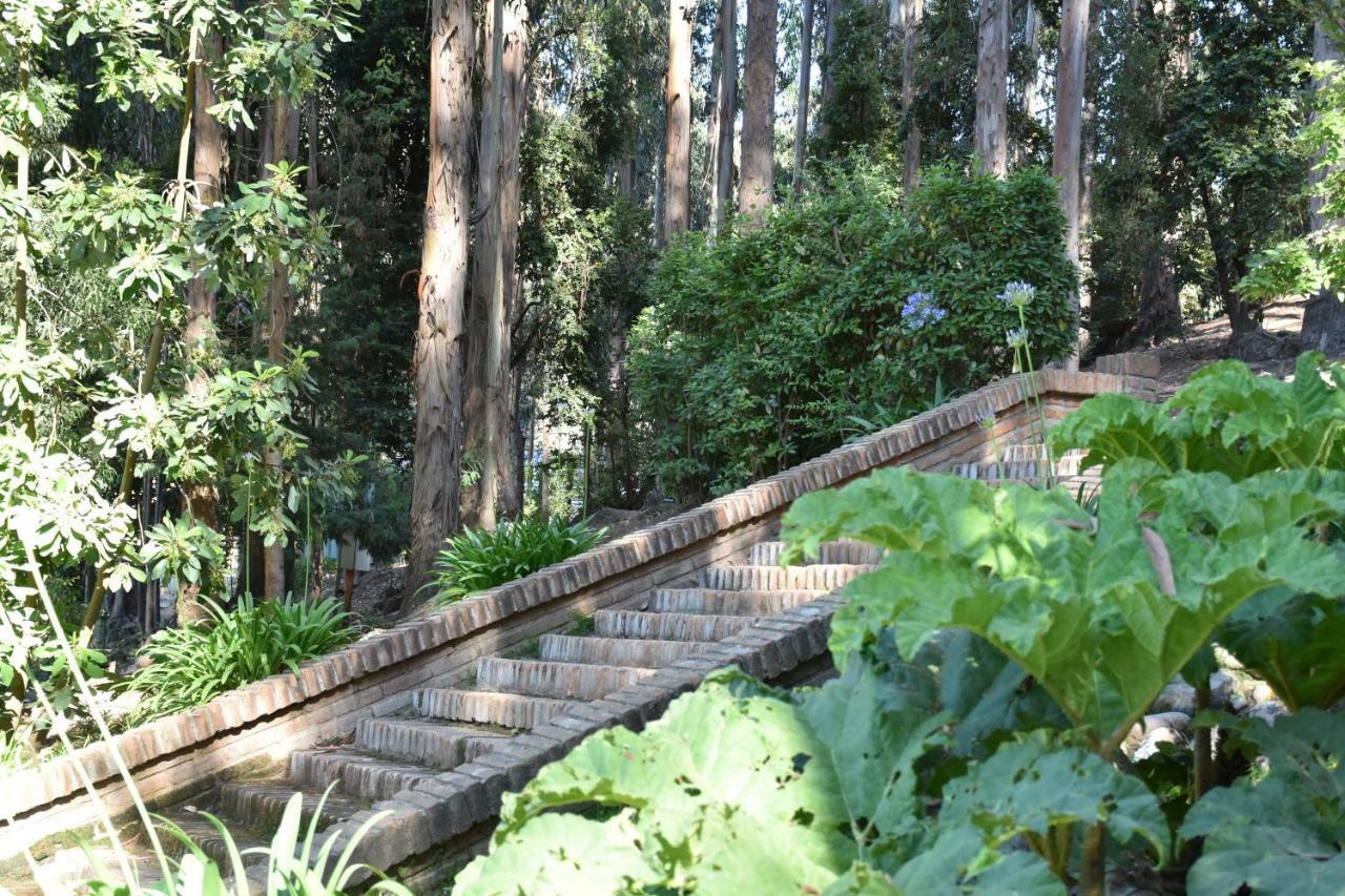 Hotel Bosque De Renaca Βίνα Ντελ Μαρ Εξωτερικό φωτογραφία