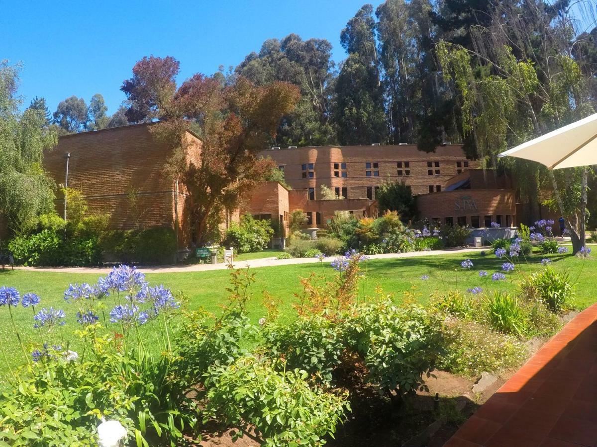 Hotel Bosque De Renaca Βίνα Ντελ Μαρ Εξωτερικό φωτογραφία